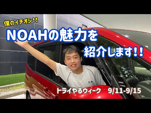 トライやるウィーク🚗〜NOAHのご紹介〜