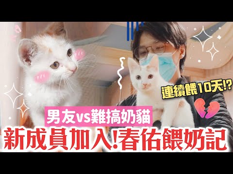 【日記】我撿到小奶貓!? 男友超暖幫我"帶孩子"，吵分居後大和解🥰【愛情故事—家庭新成員篇】｜海恩 @Taipeiministorage ​