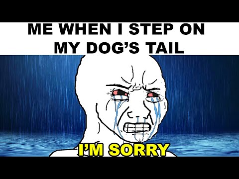 memes that make me say SORRY