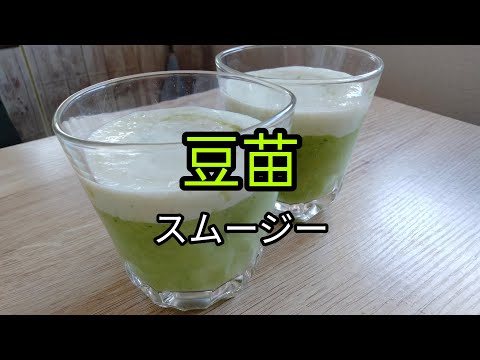 豆苗スムージーを作ってみた