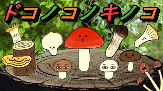 ドコノコノキノコ【童謡】キノコが踊る！　おかあさんといっしょ