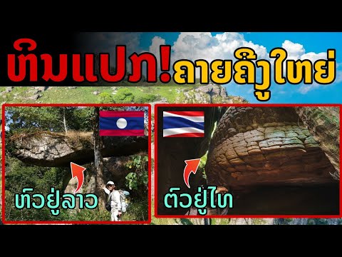 laos: หินแปลก!! พบหินรูปร่างคล้ายหัวงูใหญ่ แห่งเดียวในลาว 🇱🇦