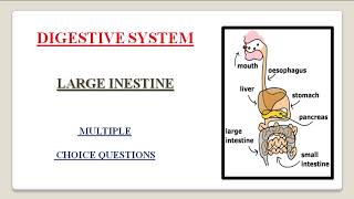 DIGESTIVE SYSTEM MCQ PART V // LARGE INESTINE // RECTUM // CAECUM // COLON // B PHARMA // D PHARMA