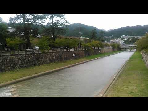 ✨2018.9.8 兵庫県芦屋市🎋