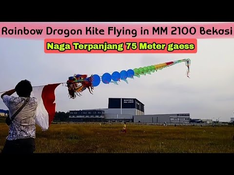 Rainbow Dragon Kite Flying in MM 2100 Bekasi | Layangan Naga Pelangi Terbang di MM 2100 Bekasi