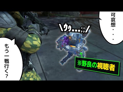 チーターにやられた視聴者野良さんを招待してチャンピオン取ってきた【APEX】