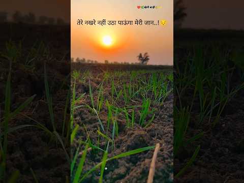 खेतीबाड़ी.!  Desi Vlog  😀 ।। Short video Farming WhatsApp status