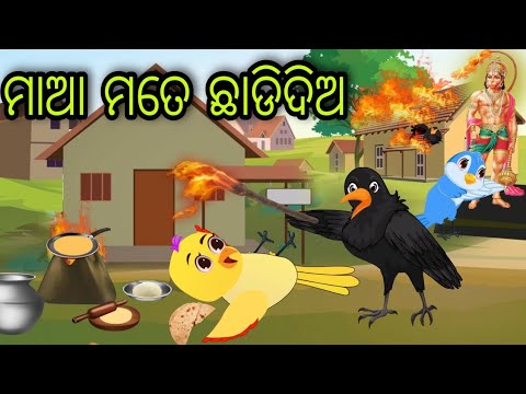 ବାପଘର ଠୁ ଶାଶୁଘର ଭଲ | Bapa Ghara Thu Sasu Ghara Bhala | Tiki Chadhei | Odia Gapa | Chadhei Gapa