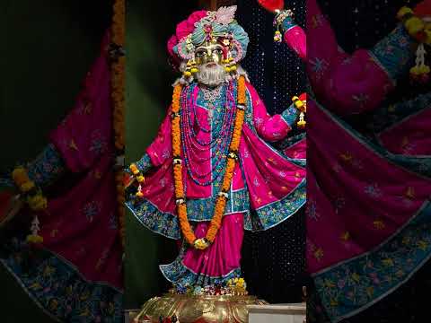 ♥️ Today's darshan of narasimha Deb, Radha Madhav, panchatatwa divine ♥️ 17/12/2024 #mayapuriskcon