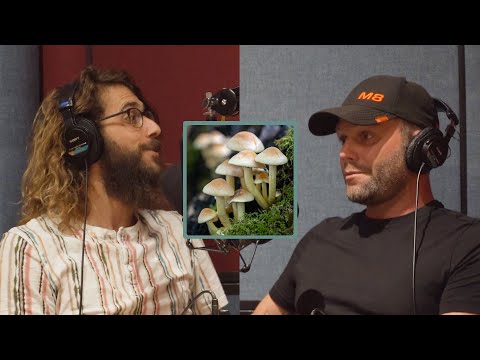 "You're Gonna Learn QUICKLY You're NOT The Most Important." - Trevor Talks Psychedelic Mushrooms