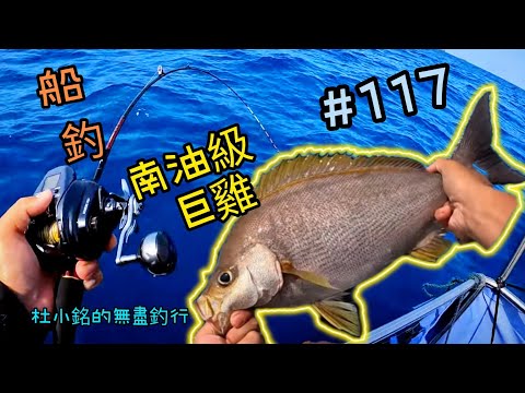 杜小銘的無盡釣行#117_#釣魚 #香港釣魚 #釣り #艇釣 #船釣 #雞魚 #白鱲 #誘餌籠 #搖籠 #五目釣り #伊佐木 #赤鱲 #真鯛  #鱲魚 #黃腳鱲  #外海  #爆釣 #黑沙 #黃鱲䱽