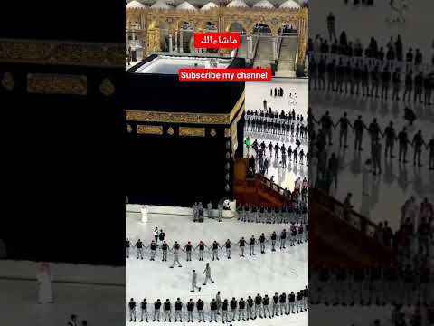 makha Pak ماشاءاللہ #shortvideo #shorts #beautiful #makkah #allah #subscribe #virel #facts #pigeon