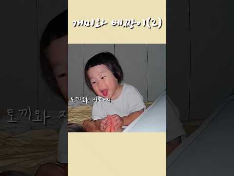 혼돈의 토끼와자라-2