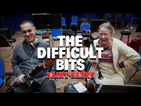 The Difficult Bits: Clarinet and Basson in Saint-Saëns