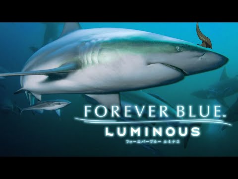 【FOREVER BLUE LUMINOUS】海開き【荒咬オウガ /ホロスターズ】