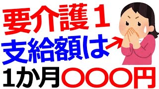 【衝撃】いくつ知ってる？要介護１になった時のサービスや支給限度額について#93