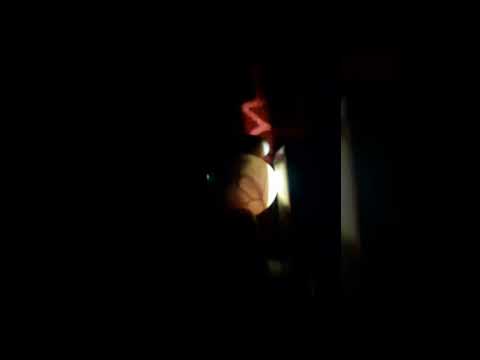 CANDLING CHICKEN EGGS DAY 18 #Viral #Shorts