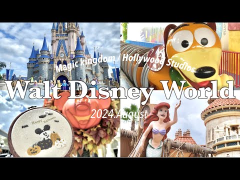 後編【3度目のWDW】憧れのマジックキングダムへ🏰｜ハリウッドスタジオ｜アンティークモールで買い物🛍️【購入品】