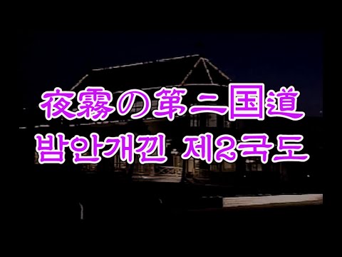 夜霧の第二国道  (フランク永井)