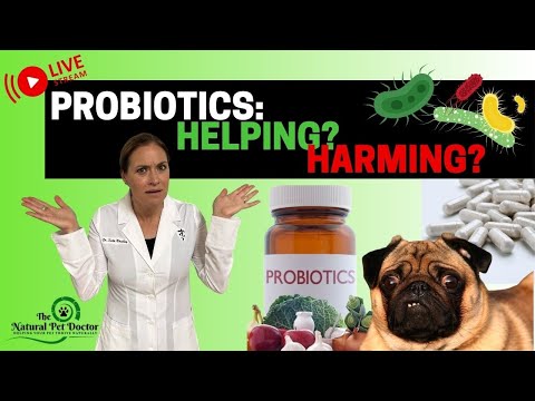 The Great Debate: Are Probiotics Beneficial or Detrimental to Your Pet's Gut Health?