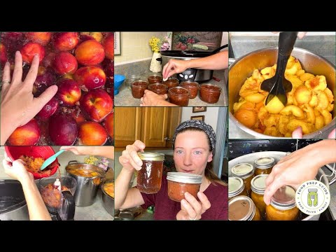 Preserving Peaches | No-Waste Methods! 🍑🍑🍑