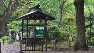 20240507日本茨城縣水戶市常磐神社