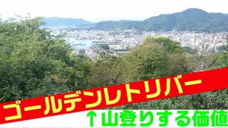 山登りの価値あり！？ ゴールデンレトリバーと山登り!!