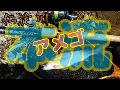 清流仁淀川  本流  初めての場所で出た！