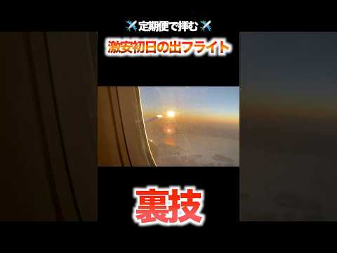 裏技！初日の出フライトに格安で乗る方法#jal #旅行 #飛行機