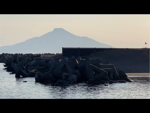 利尻富士とアザラシ🦭生配信　抜海港から