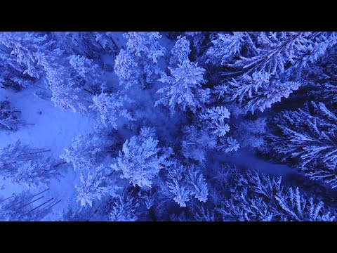 Relaxing snow music   Winter Landscape with Soothing Piano Music