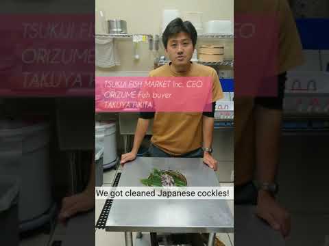 E13【Tori-gai】 TSUKIJI FISH MARKET Inc by 市場系youtuber疋田拓也Takuya Hikita～本気の目利きシリーズ15 Japanese Cockle～