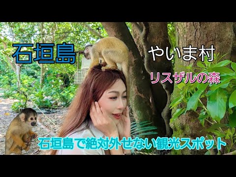 【石垣島観光】可愛すぎるリスザルと触れ合える『やいま村』石垣島一番の癒しスポット