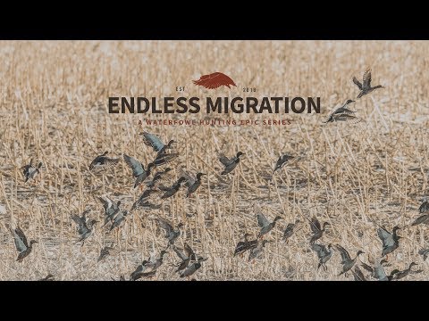 Waterfowl Hunting Series - Endless Migration