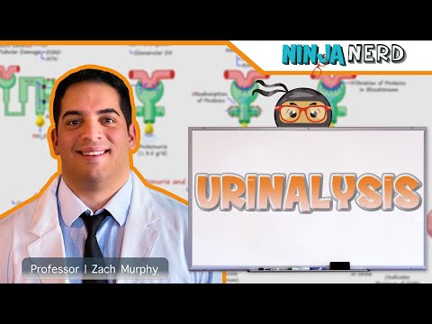 Urinalysis | Clinical Medicine