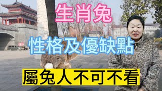 生肖屬相兔！屬兔人有什麼性格以及缺點？生肖屬兔人早看早知曉！#運勢 #風水 #智慧 #人生感悟