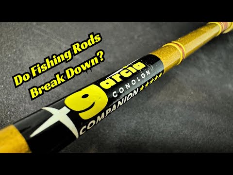 Do Fishing Rods Break Down Over Time? This Might Surprise You!