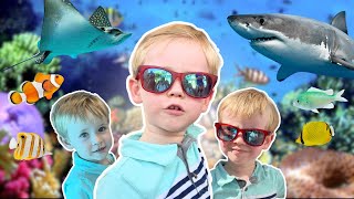 Adam's Aquatic Adventure: A Delightful Day at the Houston Downtown Aquarium! #educationalvideokids