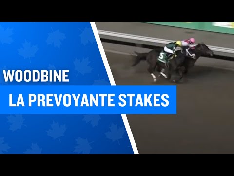 2024 $100,000 La Prevoyante Stakes at Woodbine