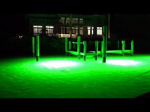 Fishing GREEN Dock Lights for Snook