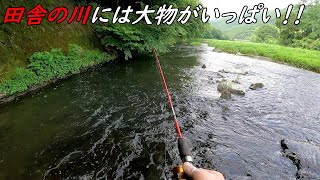 田舎の川にミミズを流すと大物がいっぱい喰い付いてきます！！