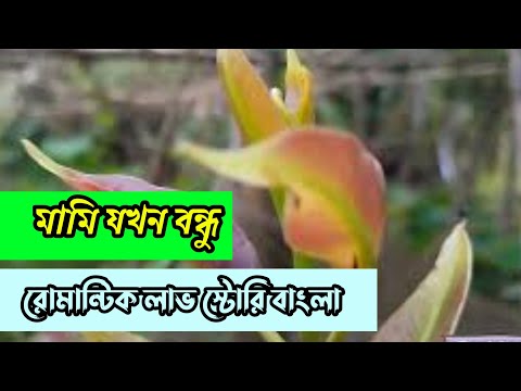 মামি যখন বন্ধু || রোমান্টিক লাভ স্টোরি বাংলা ||Anika Dairy