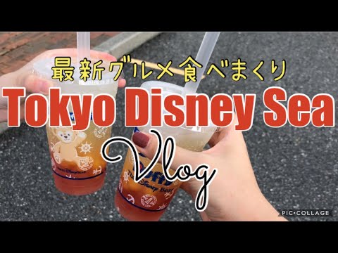 【東京ディズニーシー】新メニュー食べ歩き✖️ミラコスタでディナーブッフェ《オチェーアノ》✖️ソアリン