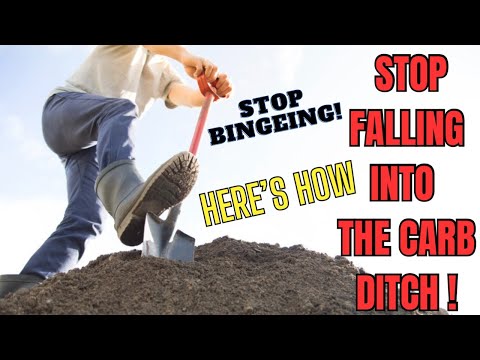 STOP BINGEING! STOP Yo-Yo-ing In & Out of the SUGAR & CARB DITCH !!!