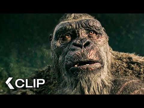 Kong Lost Its Home - GODZILLA X KONG: The New Empire Clip (2024)