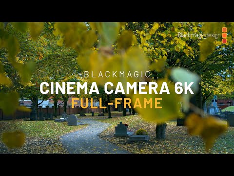 New Full-Frame Blackmagic Cinema Camera 6K | Handheld + Gyro Stabilization Cinematic Footage