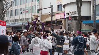 横須賀　よこすかみこしパレード　汐入連合青年会（子之神社大神輿）　2024/10/27 a4