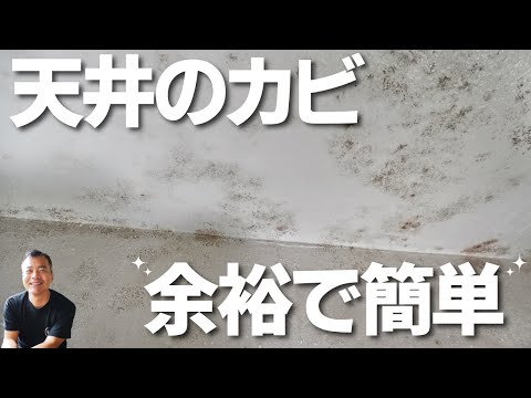 【お風呂の天井のカビ】　余裕で落とします　本当に余裕だった