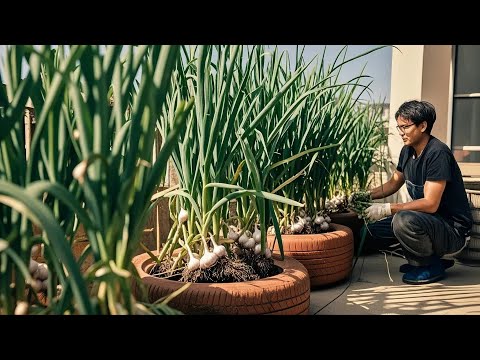 Viral Hack: How to Grow Fresh Garlic on Your Balcony at Home for Beginners