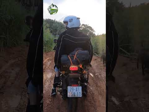 Road to Vu Linh commune, Yen Binh district, Yen Bai province #shorts